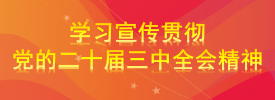 學習宣傳貫徹黨的二十屆三中全會精神
